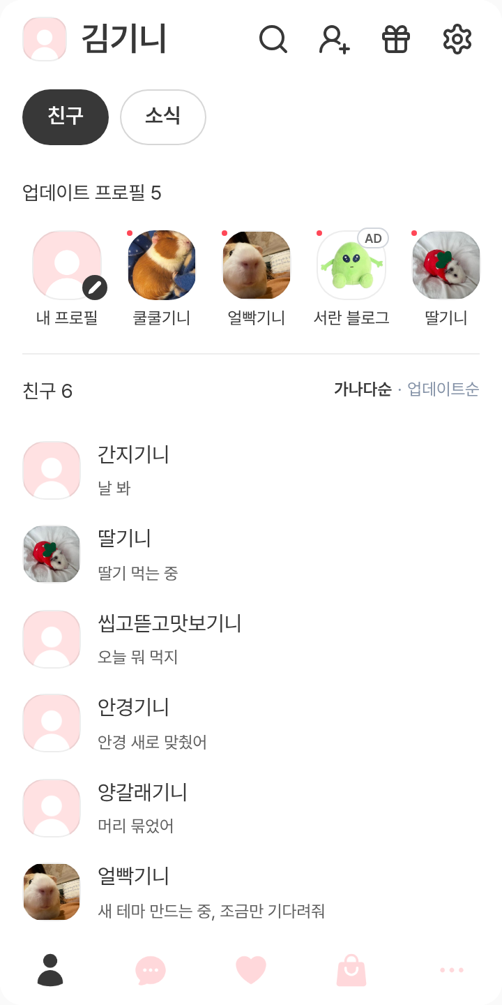시뉴 테마를 적용한 친구탭