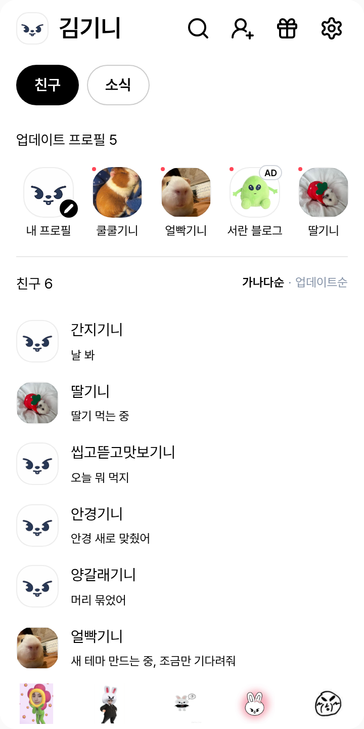 이리노(with리빗) 카톡테마 테마를 적용한 친구탭